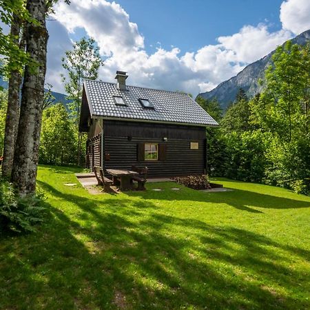 Chalet Tisa Bohinj Zewnętrze zdjęcie